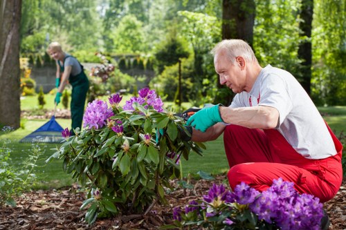Professional garden maintenance services in Upminster