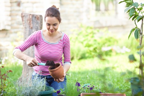 Benefits of professional hedge trimming services