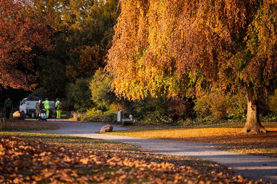 A park scene during autumn featuring a large deciduous tree with golden-orange leaves, some of which have fallen onto the paved pathway and surrounding grass. The pathway curves gently through the par
