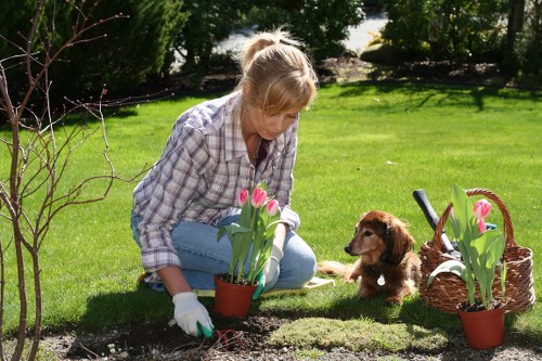 Professional gardener maintaining a blooming garden in Upminster